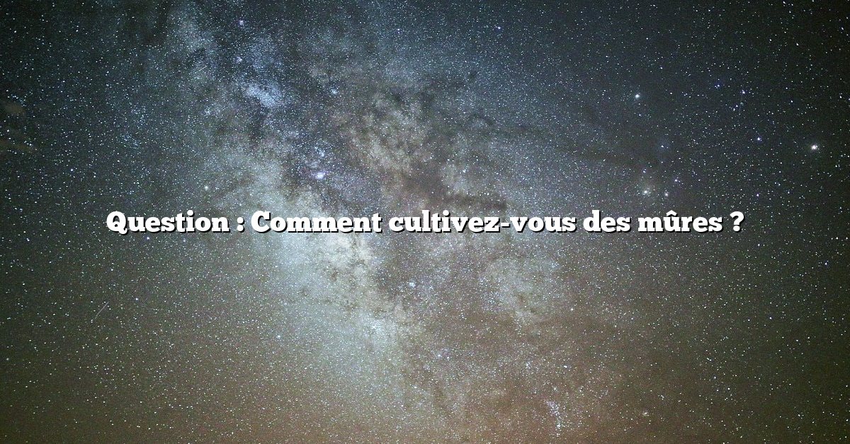 Question : Comment cultivez-vous des mûres ?